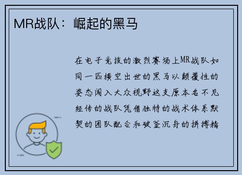 MR战队:崛起的黑马